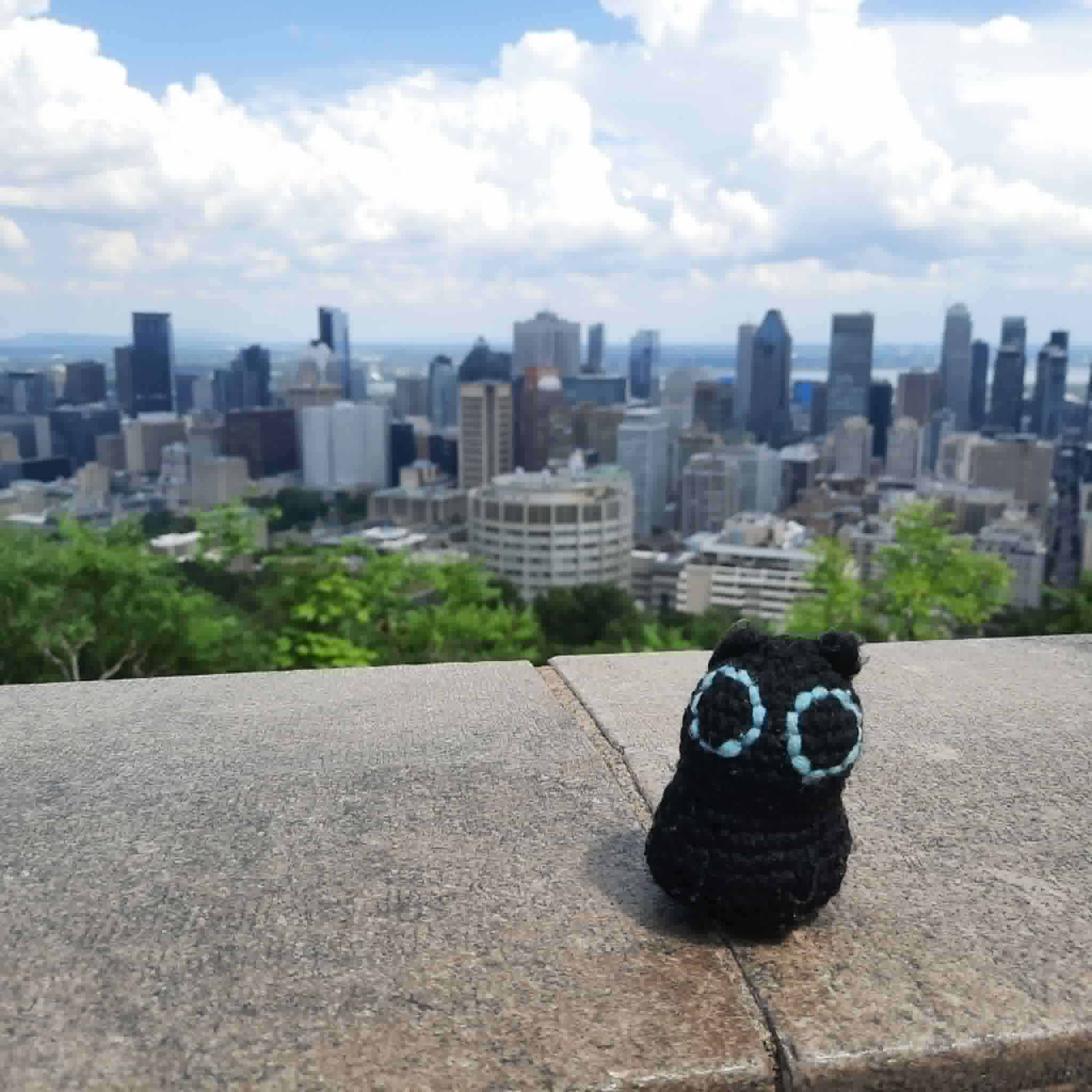 Visit to Montreal
